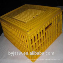 Cajas de plástico de aves vivas